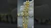 9ct Yellow Gold Tulip Chain 24 10mm